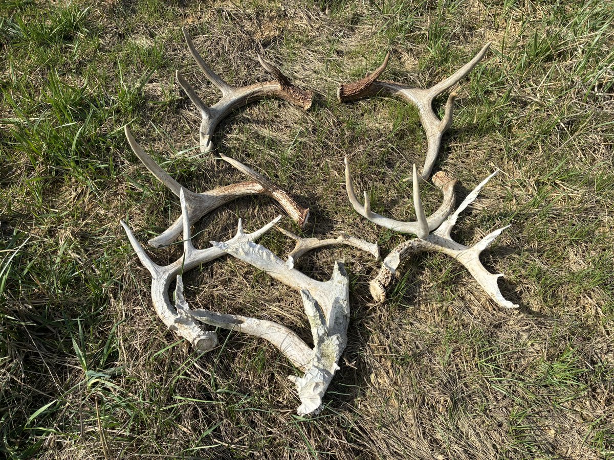 Dwayne Mathews tweet media