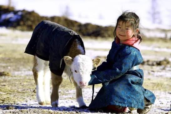 Tsengee Tseekee tweet media