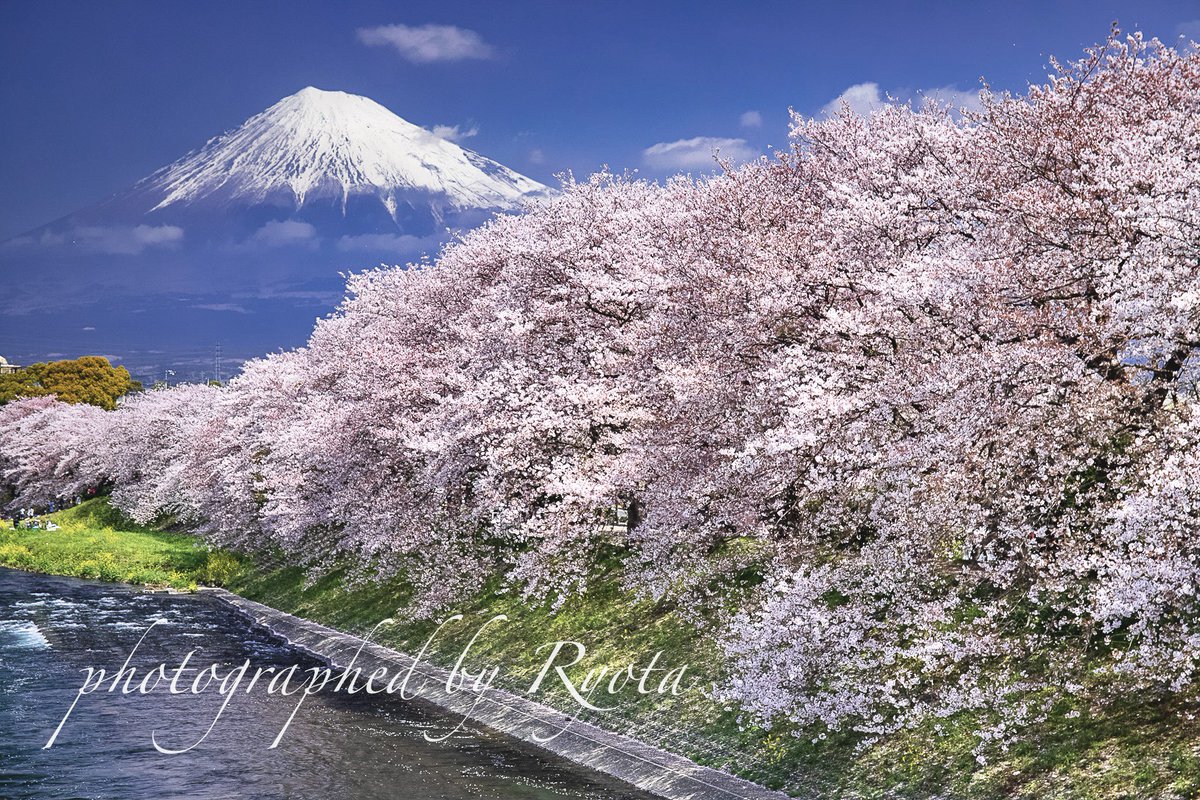 Ryota@富士山写真家 tweet media