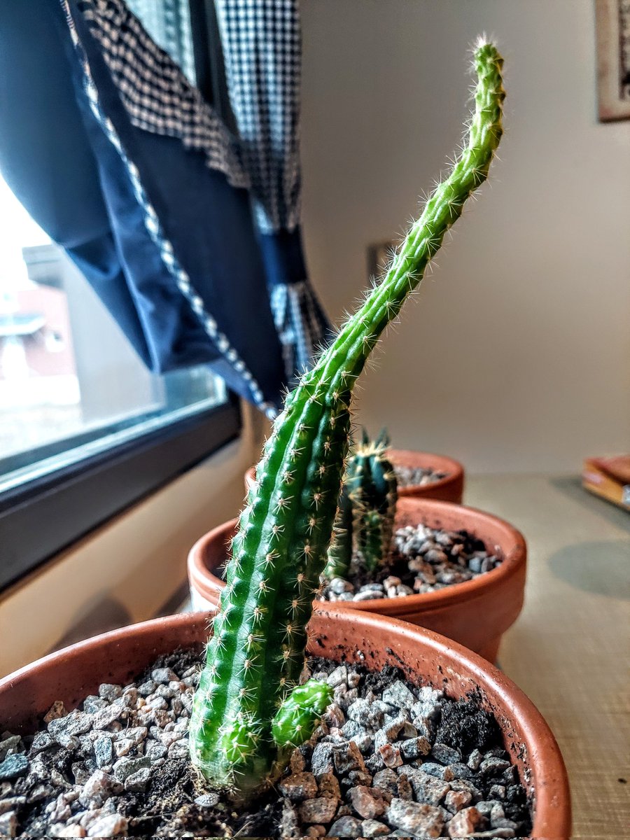 Alberto 🇫🇮 tweet media