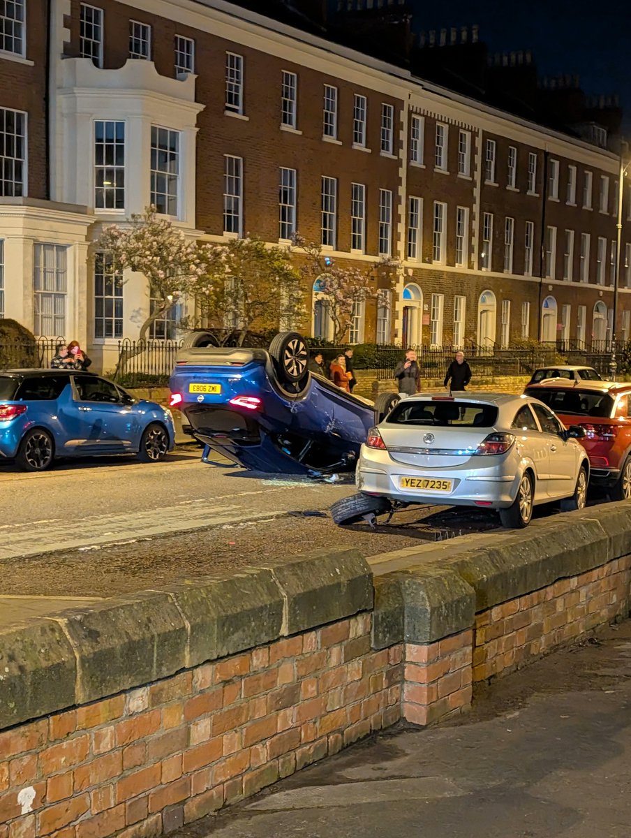 lily🏳️🌈 tweet media