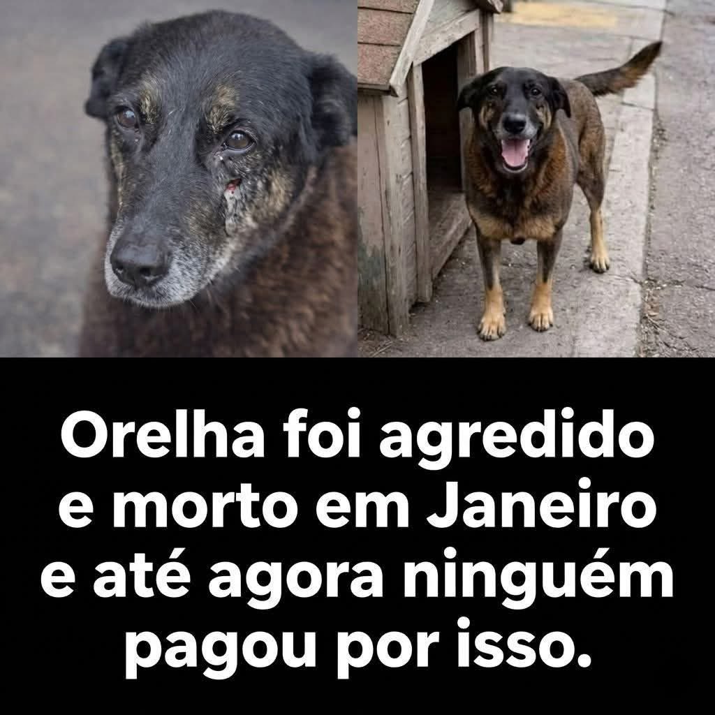 Marco Valverde ® tweet media