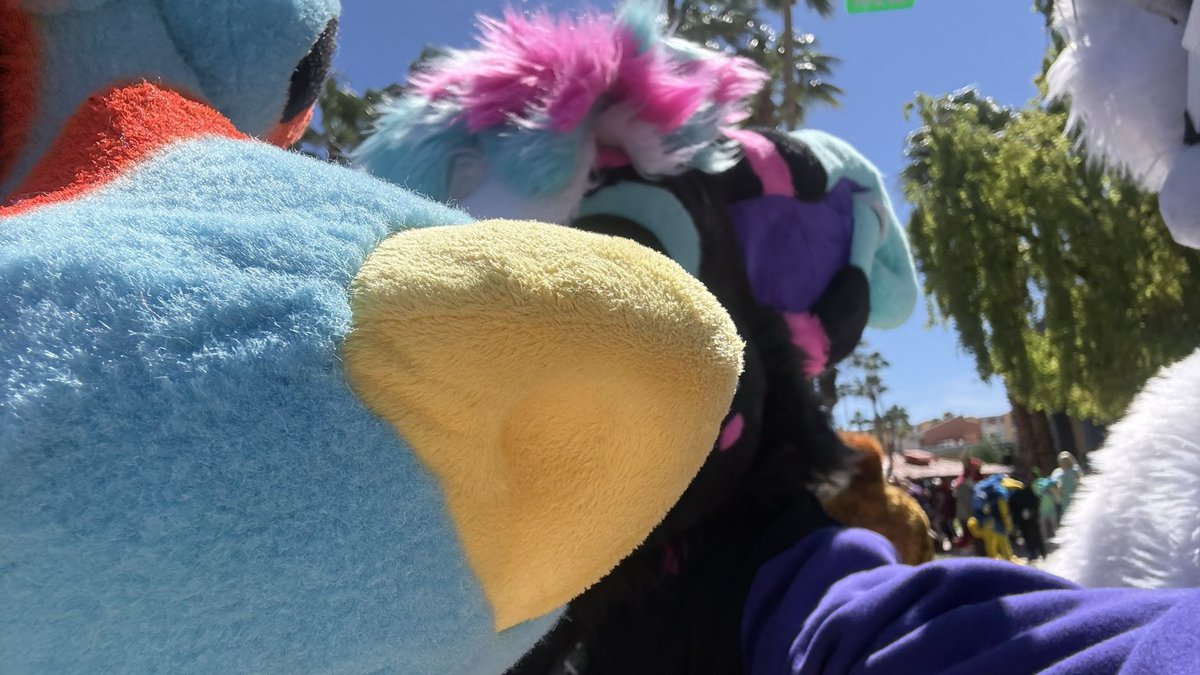 Flux CruxOtt @ LVFC tweet media