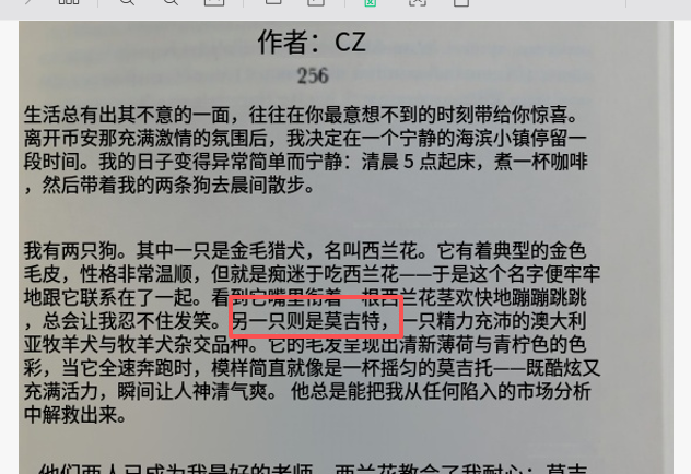 董事长🔶BNB tweet media