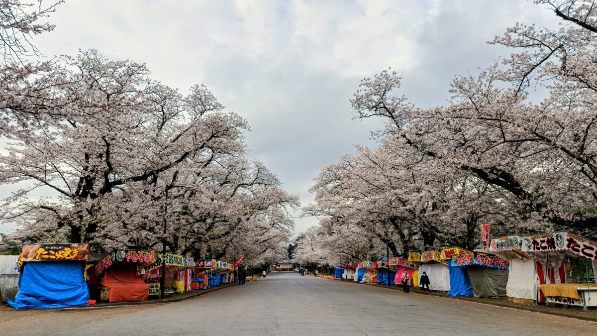 ミレー・p・ヤマザキ tweet media