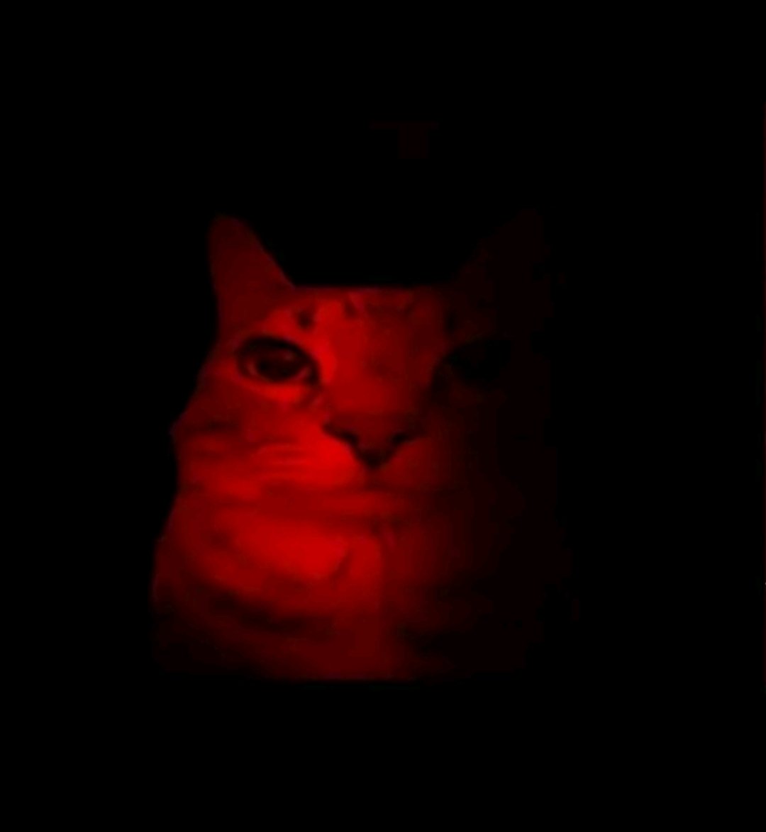 Blue of __twt🥹 tweet media