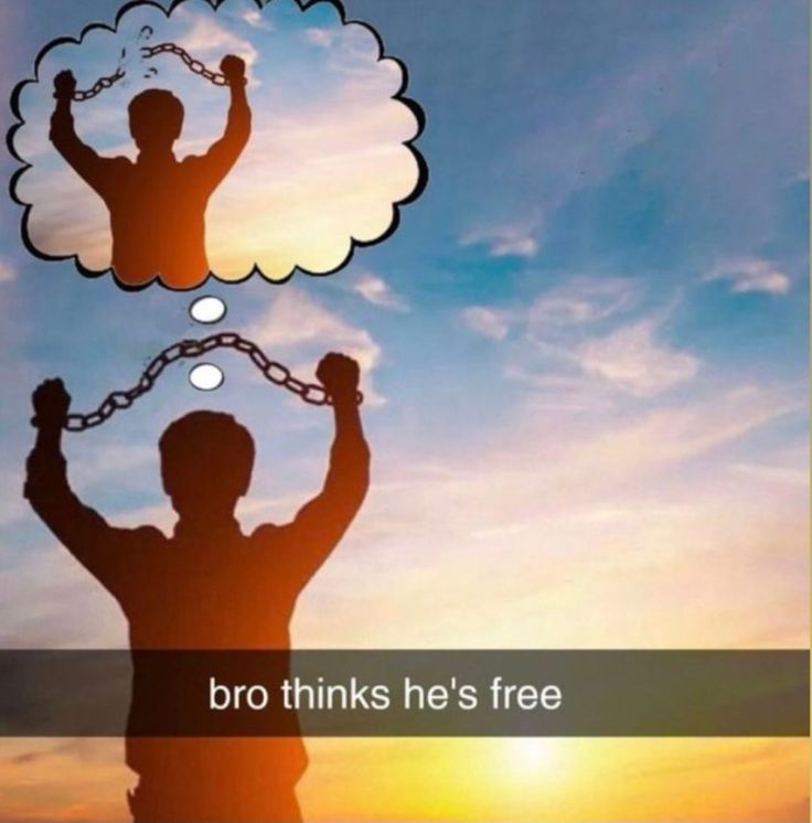 Berry Sy ⊬🫐 tweet media