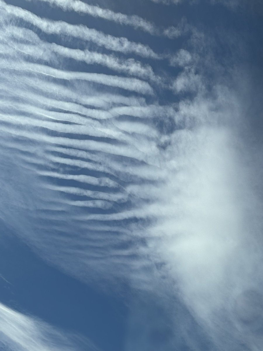 Redlovesbubbles tweet media