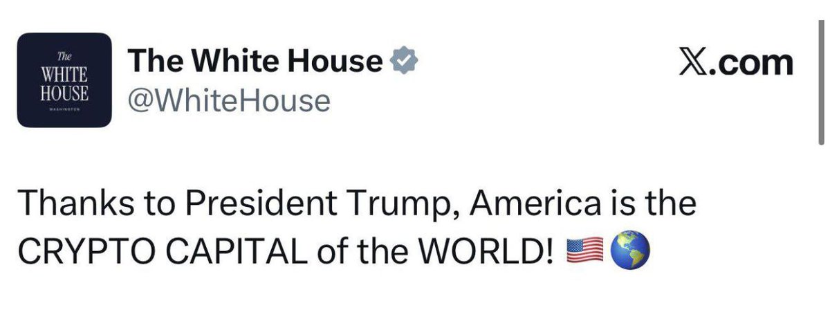 Mr Pool 2.0 tweet media