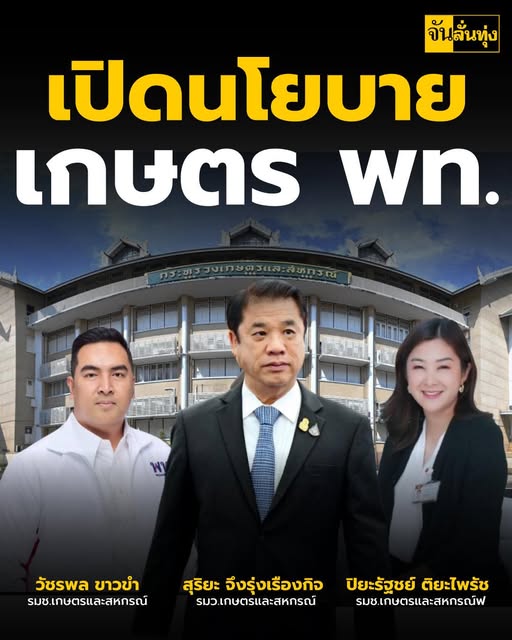 redbamboo16ret tweet media