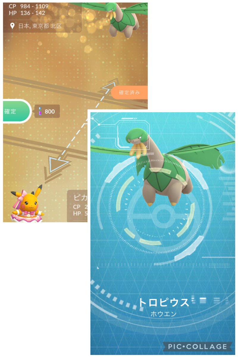 ✨ポケGOコウ✨ tweet media