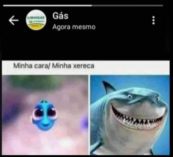 Sistema Único de Saúde (SUS) paródia tweet media