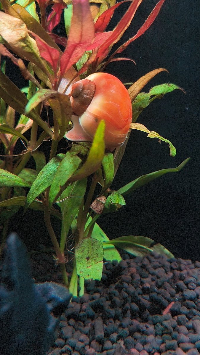 Maya 🎨📖 tweet media