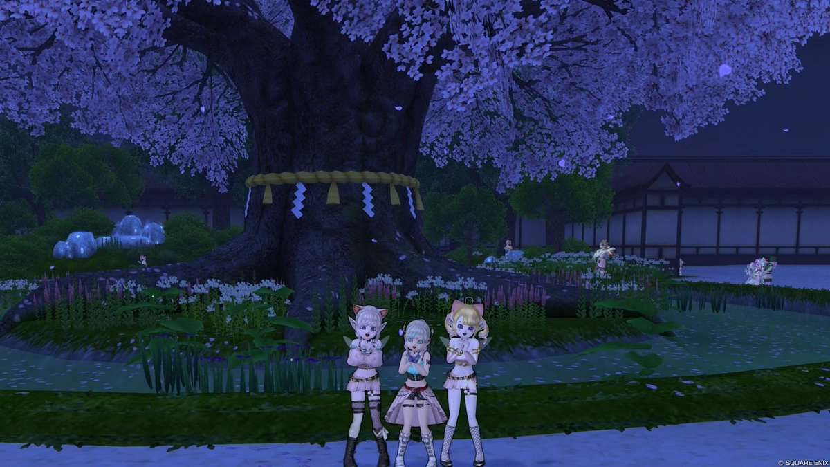 シマ　DQ10 tweet media