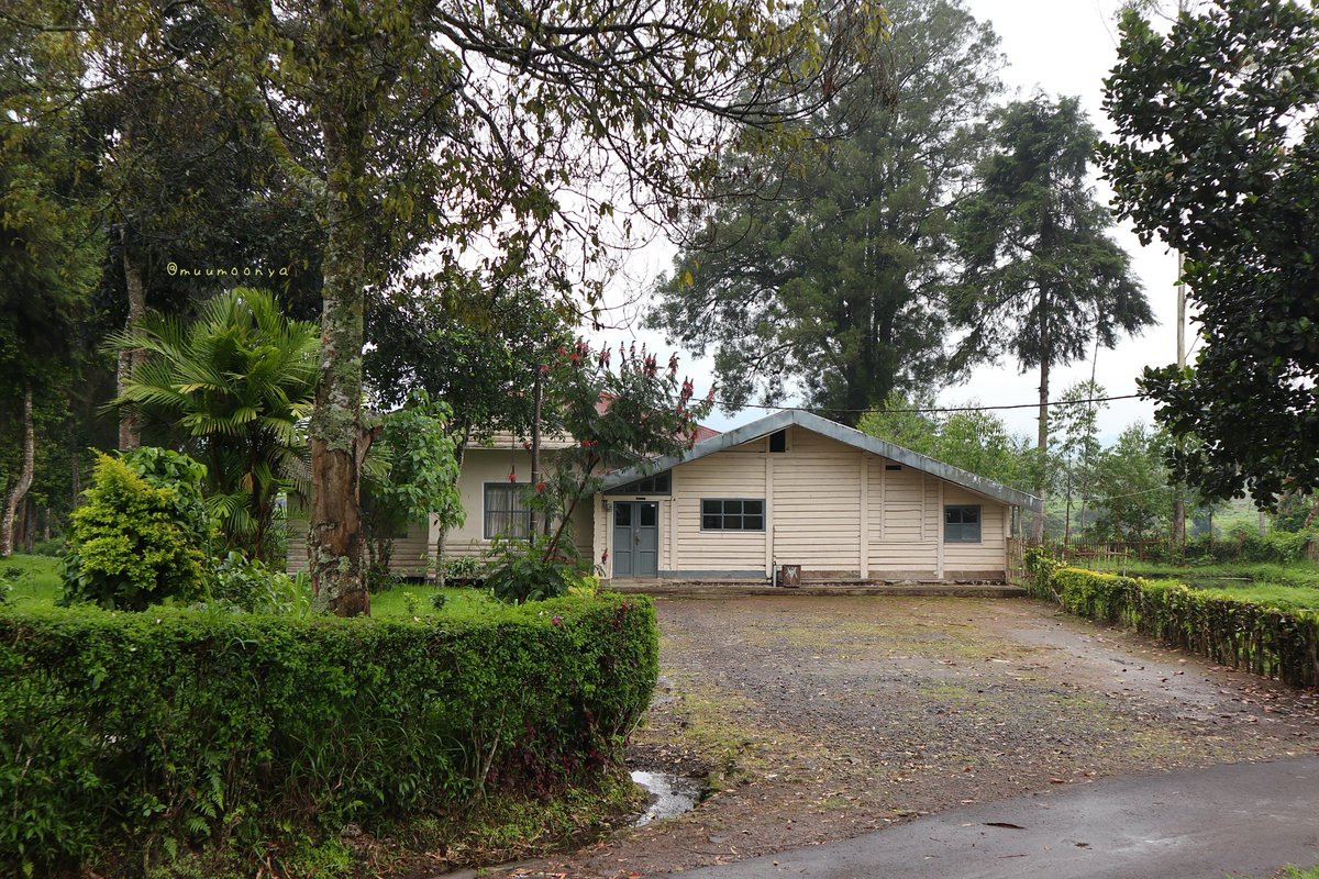 むーも tweet media