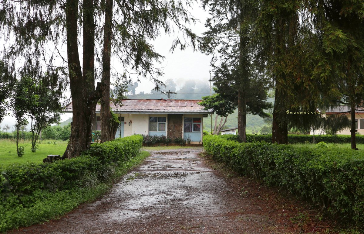 むーも tweet media