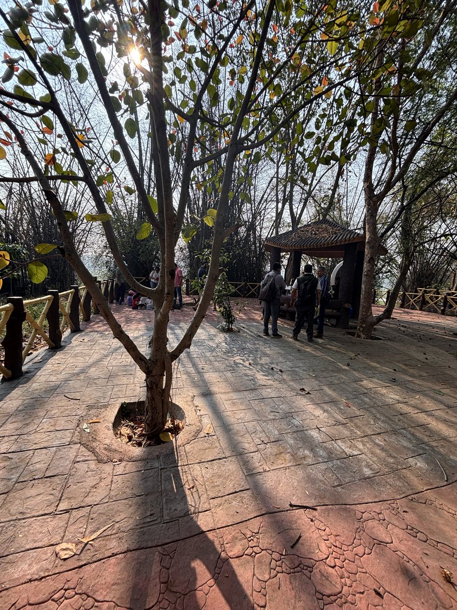 Shilpa Godbole tweet media