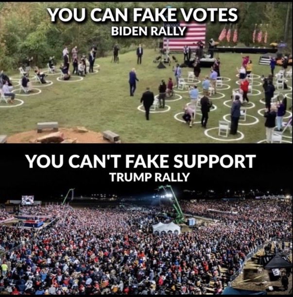 Steve Austin tweet media