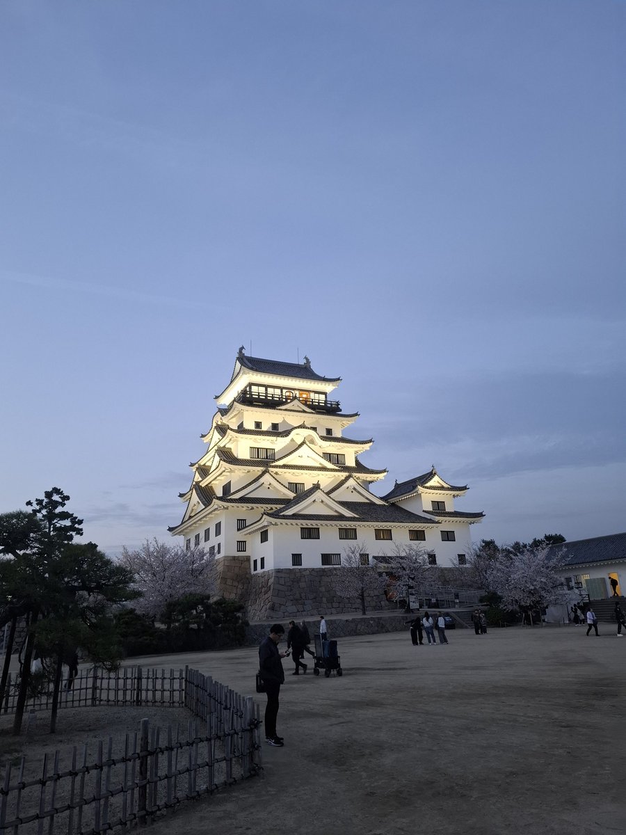 taku_M1510's tweet image. 今年も9highメンバーと夜桜🌸🍺🌸
お花見！☺楽しかった✨(*´∀`)♪
#福山
#9high
#ポーカー
#桜