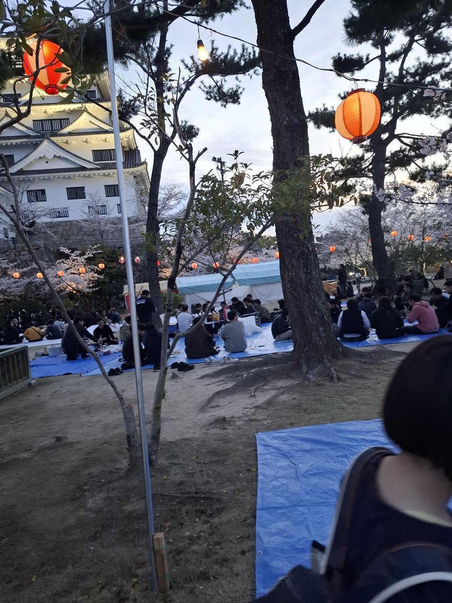 taku_M1510's tweet image. 今年も9highメンバーと夜桜🌸🍺🌸
お花見！☺楽しかった✨(*´∀`)♪
#福山
#9high
#ポーカー
#桜