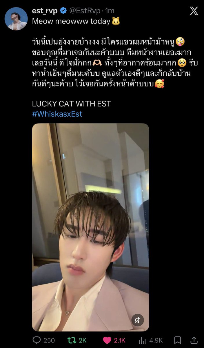 🐰420🌊 tweet media