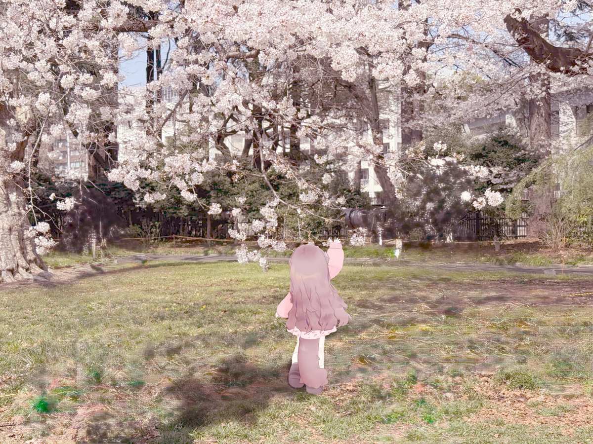 𝐬𝐚𝐤𝐮𝐫𝐚 tweet media