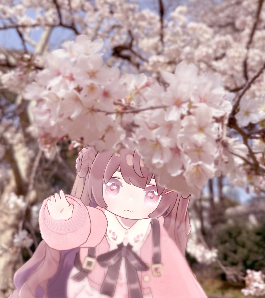 𝐬𝐚𝐤𝐮𝐫𝐚 tweet media