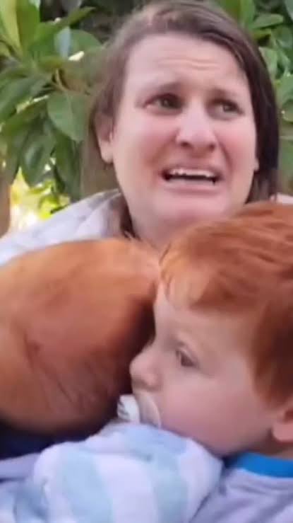 José Adaísio tweet media