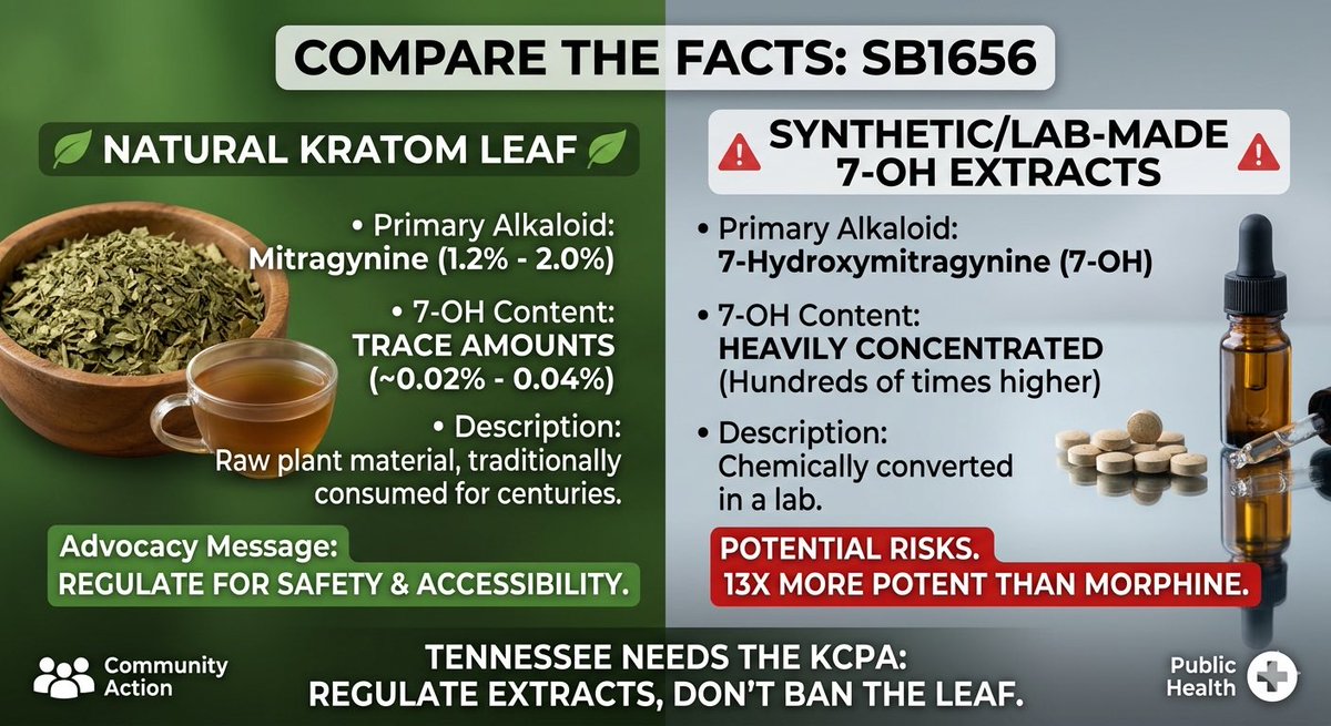 Mandy Webb tweet media