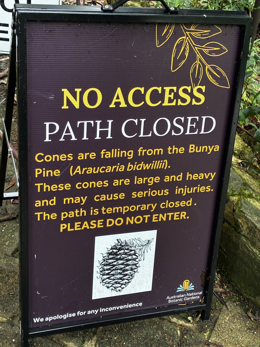 ジャシャミ tweet media