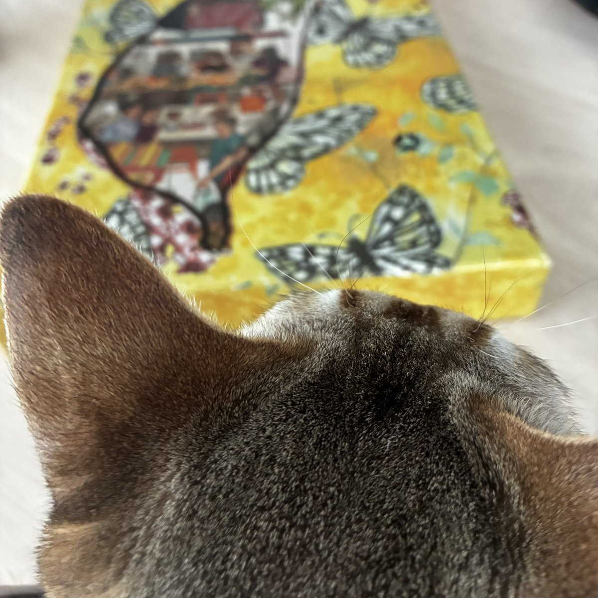 mjnskrm's tweet photo. おはようございます☀

#シンガプーラ
#鳳梨酥 https://t.co/PB0XKqoZmH