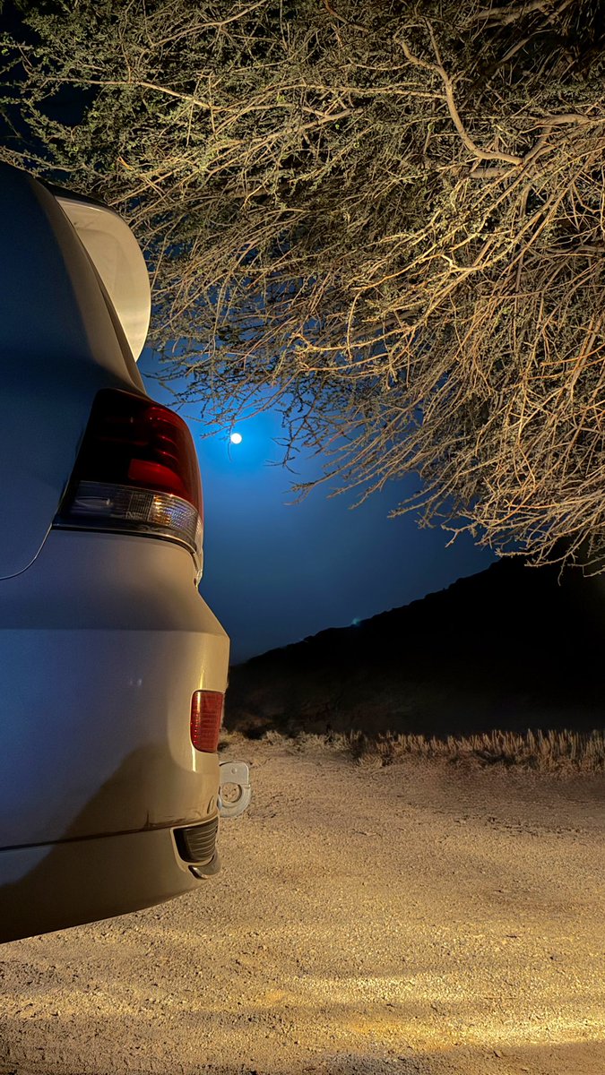 سَمح . tweet media