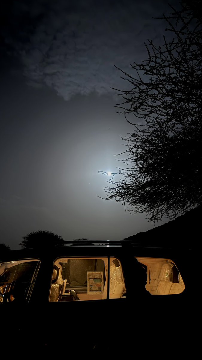 سَمح . tweet media