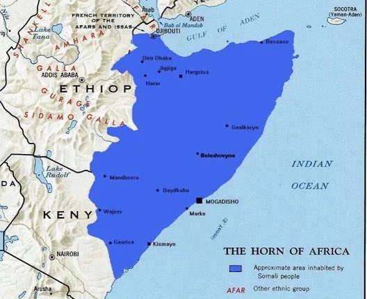 Mujahid 🇸🇴 tweet media