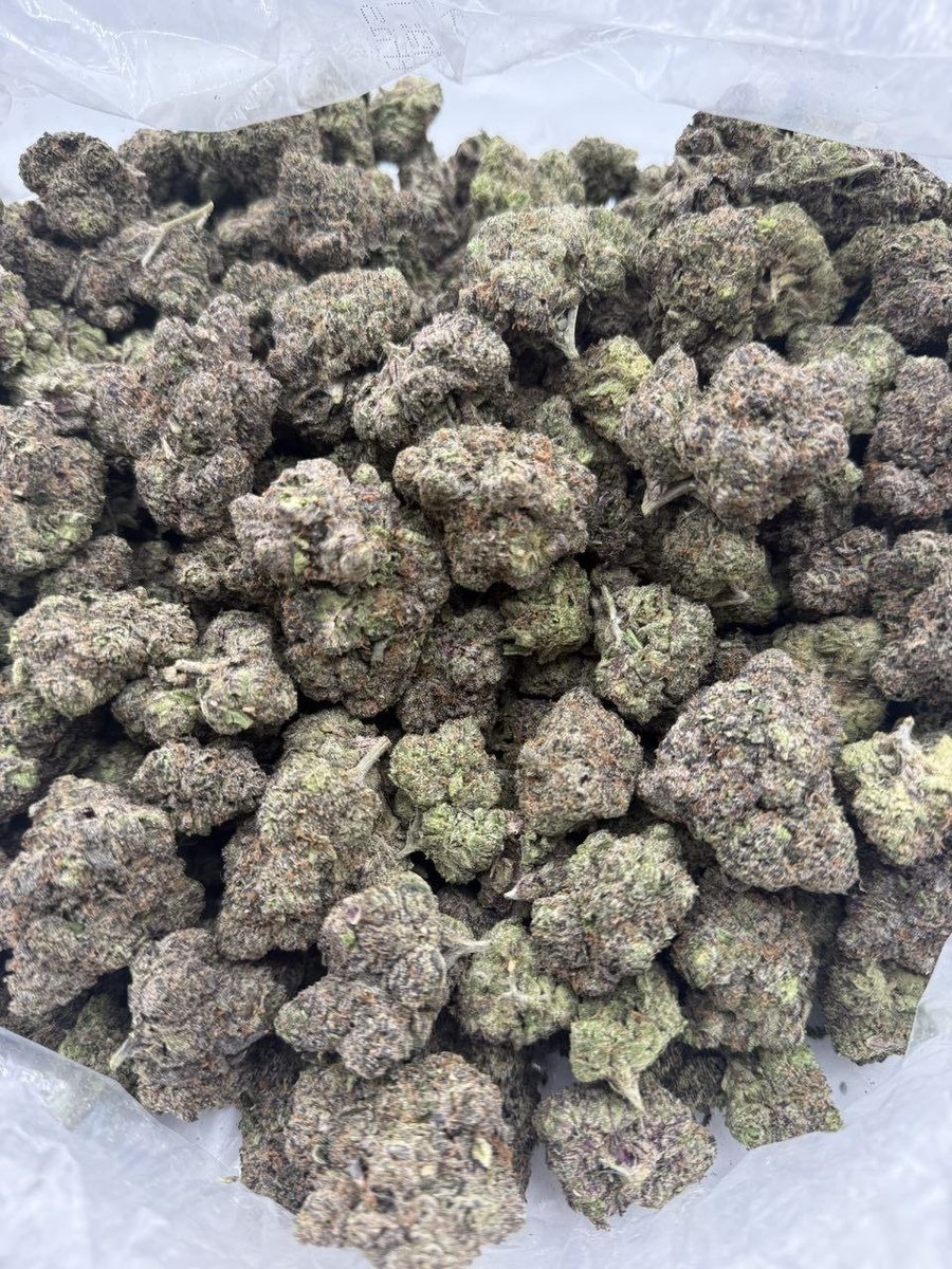 sincity seeds tweet media