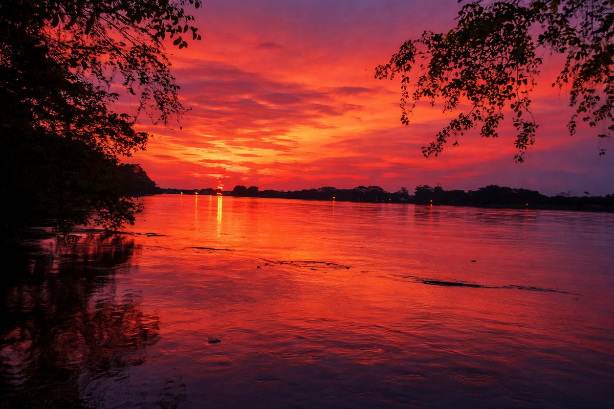 César_M__ tweet media