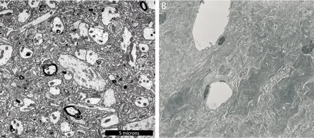 Rob Bensinger ⏹️ tweet media