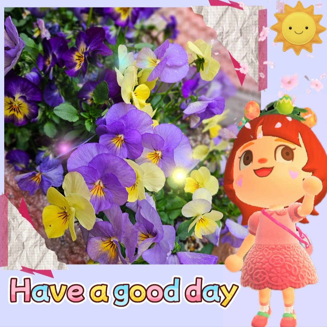 とぅまここ(YouTubeの名前にしました) tweet media