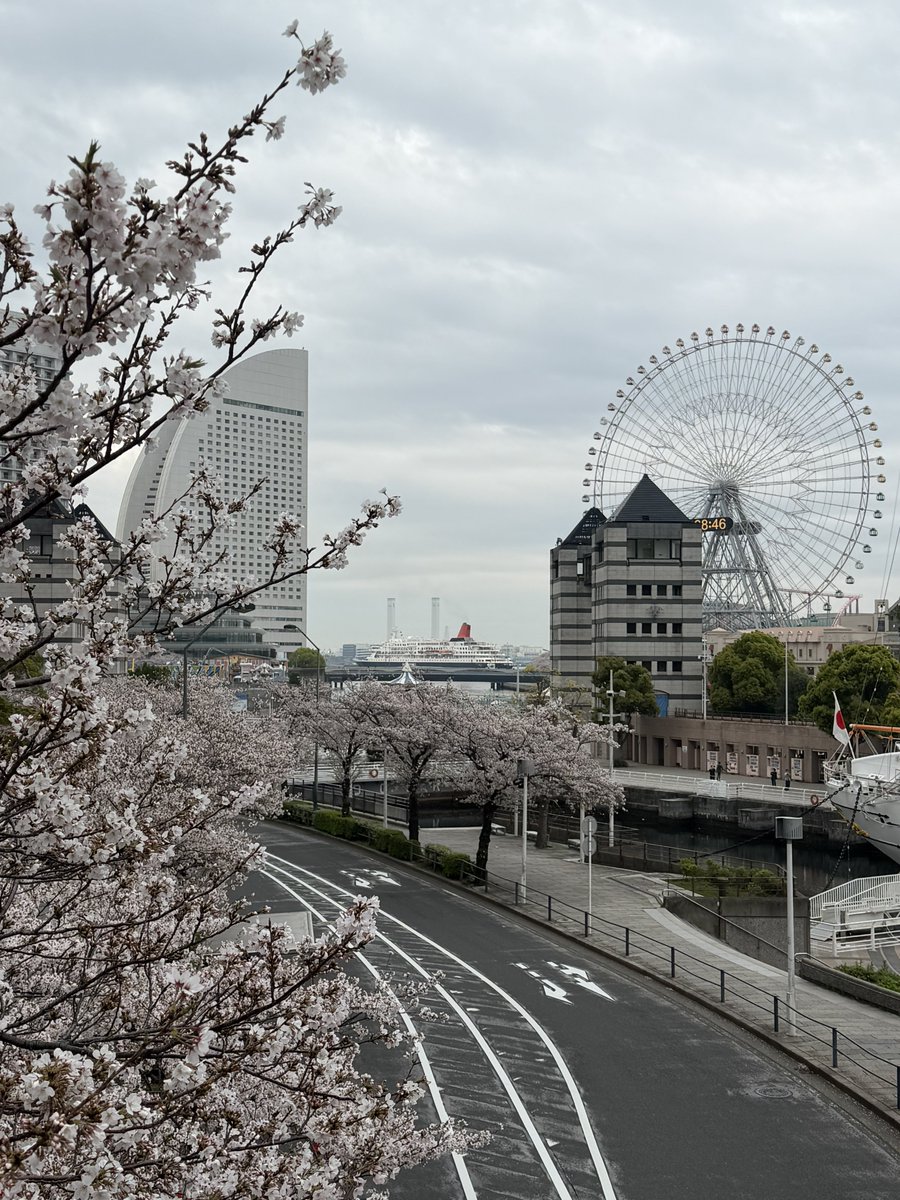 슬기로운 최애생활 tweet media