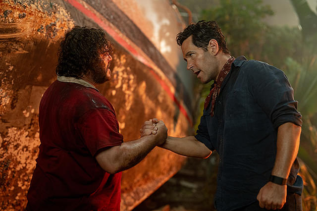 キンセンカ/pot marigold🇯🇵 tweet media