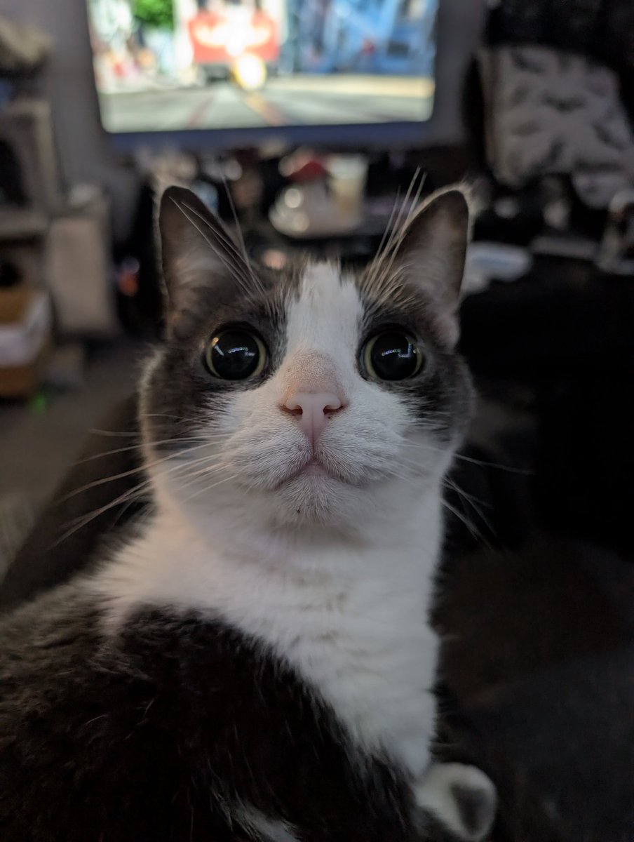 EasyGoingGoth tweet media