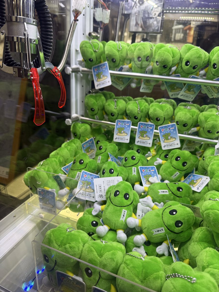 野沢温泉スキー場　☆ナスキー☆ tweet media