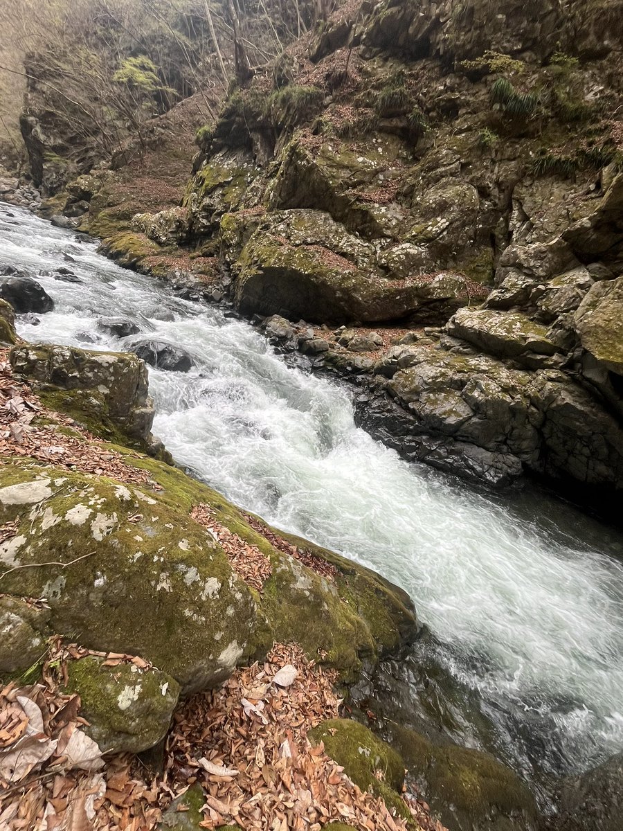 イェーガー tweet media