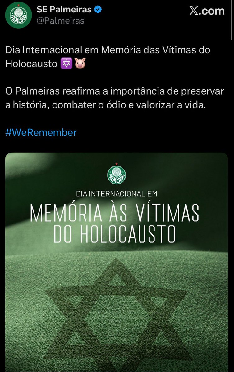 Nacionalista Palmeirense 🇻🇦✝️🇧🇷👑 tweet media