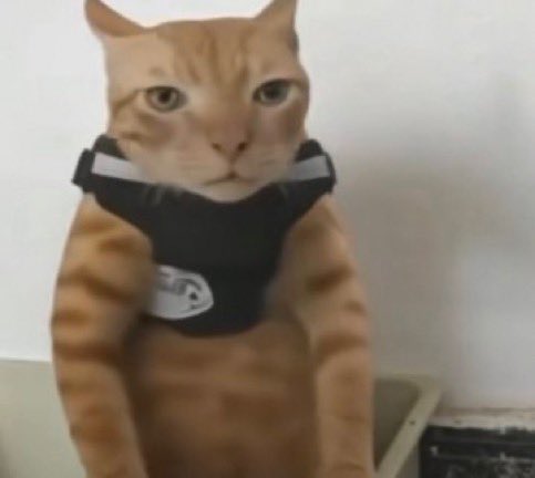 Amethyst Deceiver tweet media