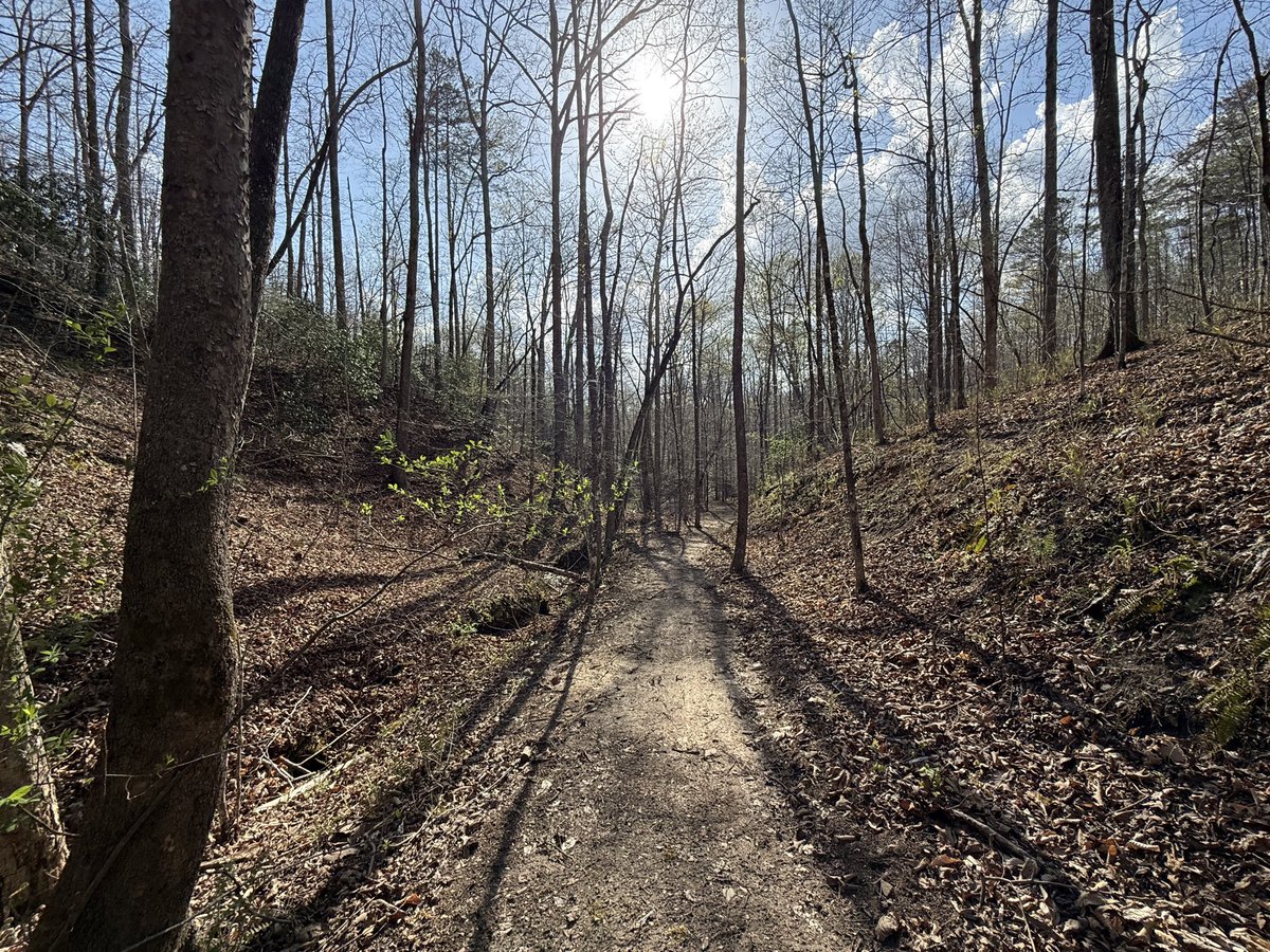 Tim Sweeney tweet media