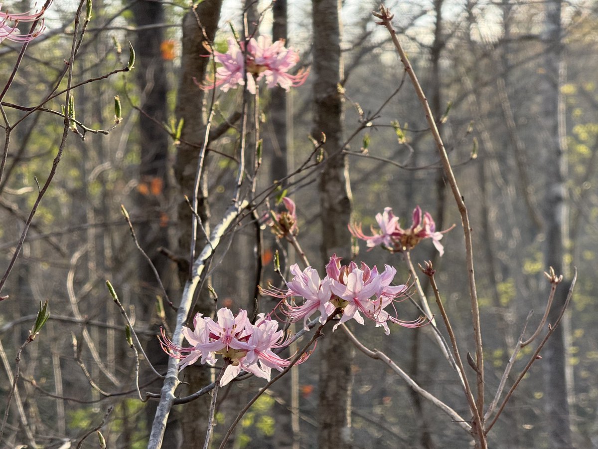 Tim Sweeney tweet media