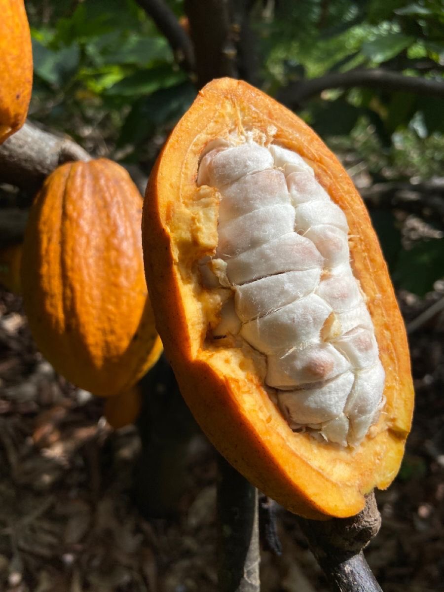 Eat Simple tweet media