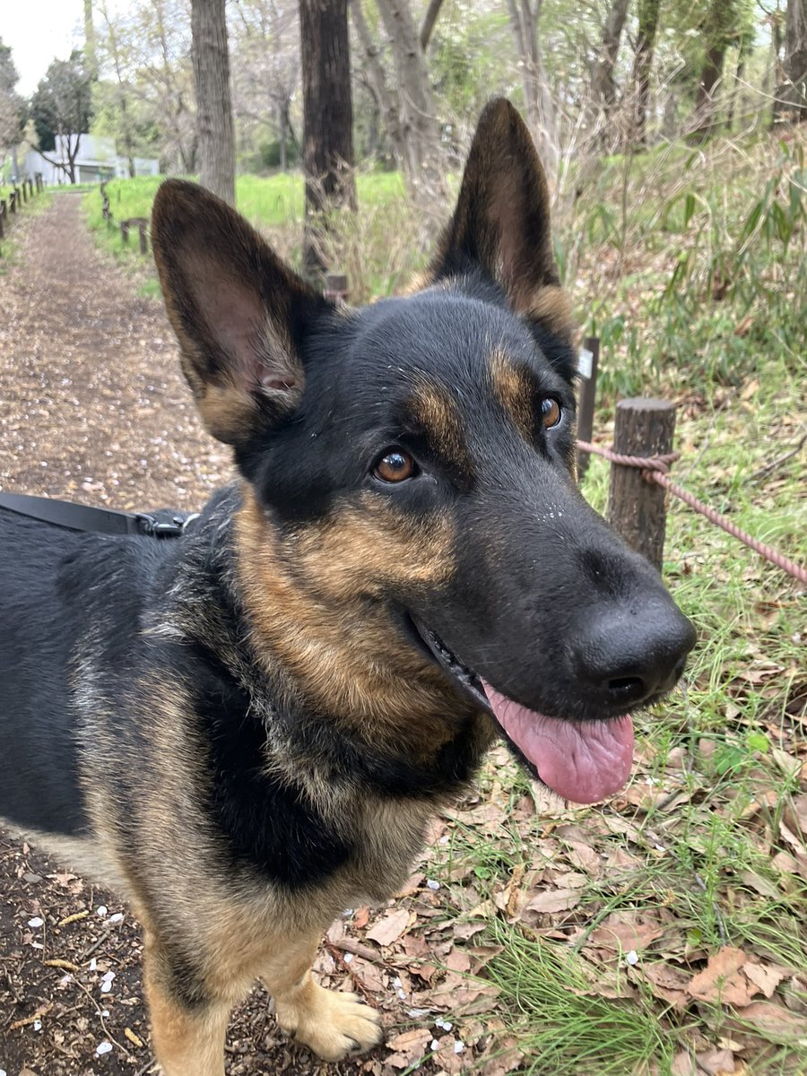 工藤沙由美 4月29日〜5月5日大丸心斎橋グループ展 tweet media