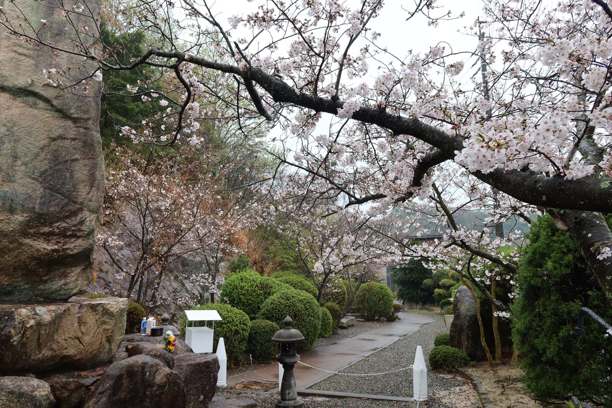 軍艦利根資料館 tweet media